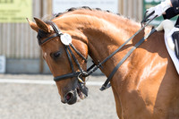 Bridle No.80
