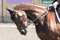 Bridle No.38