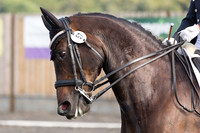 Bridle No.57