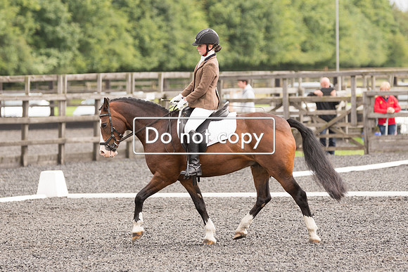 _54A7317