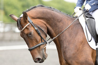 Bridle No.46