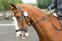 Bridle No.77