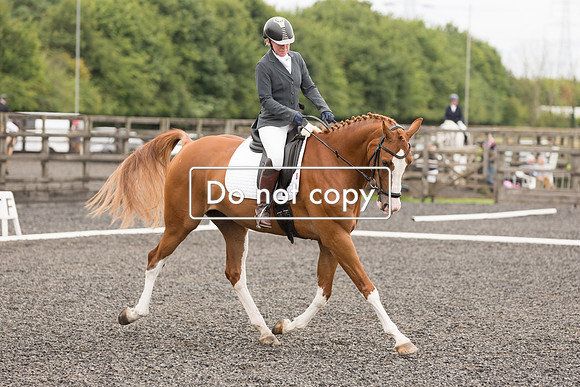 _54A7520