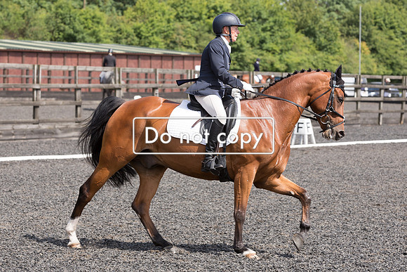 _54A7637