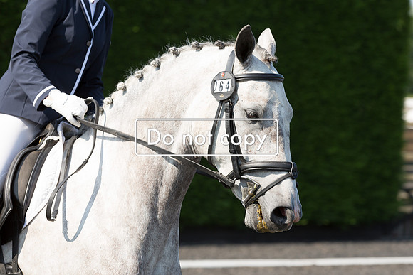 _54A8130