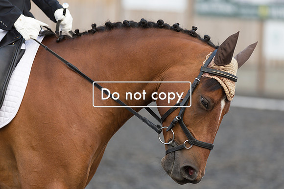_54A8563