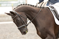 Bridle No.42