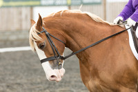 Bridle No.20