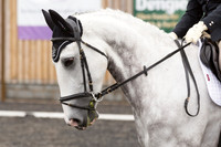 Bridle No.28 (1)