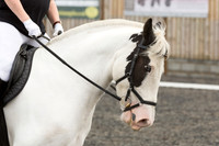Bridle No.7