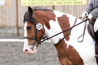 Bridle No.29