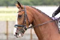Bridle No.24
