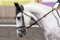 Bridle No.23
