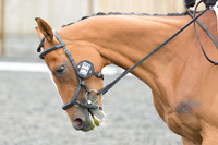Bridle No.39