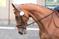 Bridle No.16