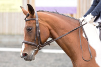 Bridle No.36