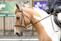 Bridle No.9
