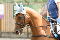 Bridle No.15