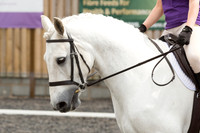 Bridle No.27