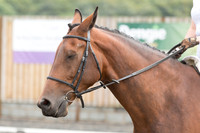 Bridle No.32