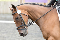 Bridle No.14