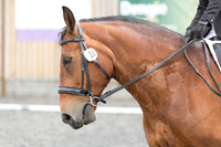 Bridle No.30
