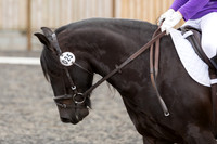 Bridle No.25