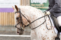 Bridle No.33