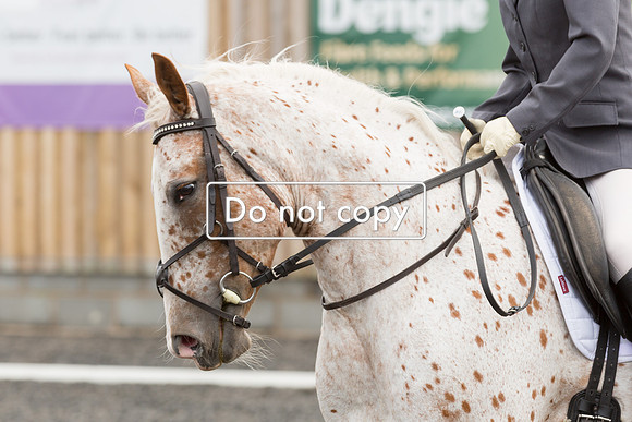 _MGL9647