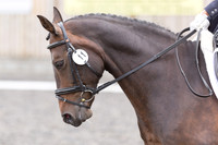 Bridle No.11