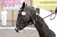 Bridle No.34