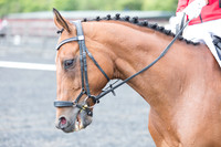 Bridle No.22