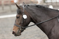 Bridle No.12