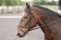 Bridle No.38