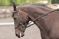 Bridle No.5