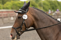 Bridle No.3