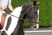 Bridle No.1