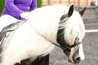 Bridle No.4