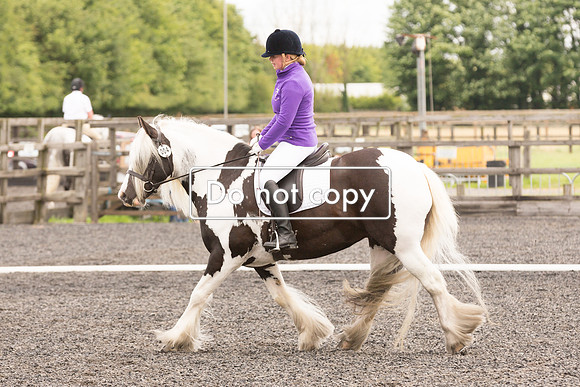 _54A9345