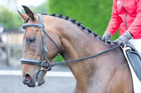 Bridle No.37