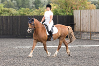 _54A0166