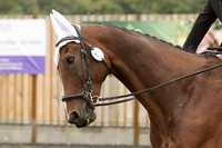Bridle No.1