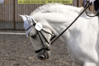 Bridle No.1