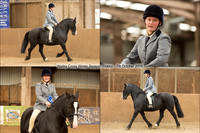 Equestrian 12x8 1