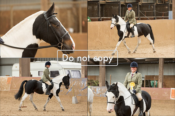 Equestrian 12x8 2