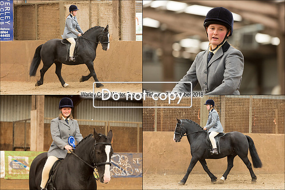 Equestrian 12x8 1