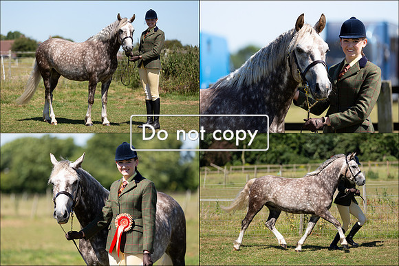 P. Mill