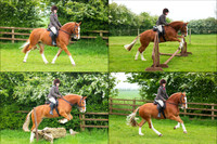 Quad 2