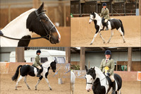 Equestrian 12x8 2