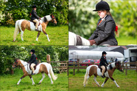 Equestrian 12x8